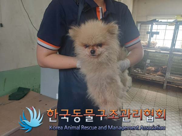 한국동물구조관리협회_441559202400893